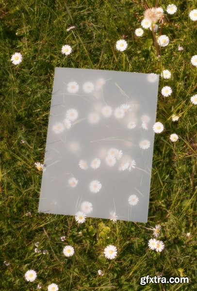 Mockup Republic - Dreamy Spring Branding Mockup Collections Vol.1