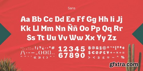 MyFonts - Puyita Font Family