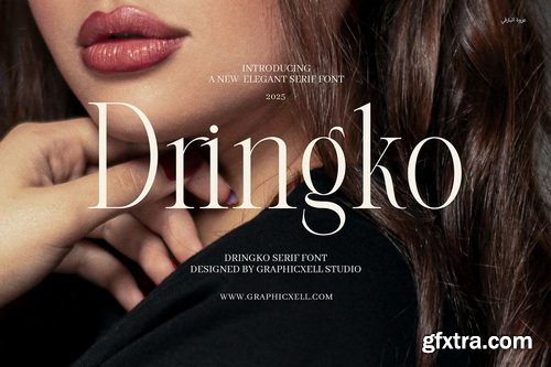 CreativeMarket - Dringko Elegant Serif Font
