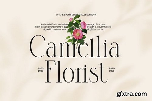 CreativeMarket - Dringko Elegant Serif Font