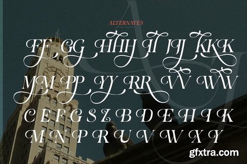 CreativeMarket - Berfal - Elegant Luxury Serif