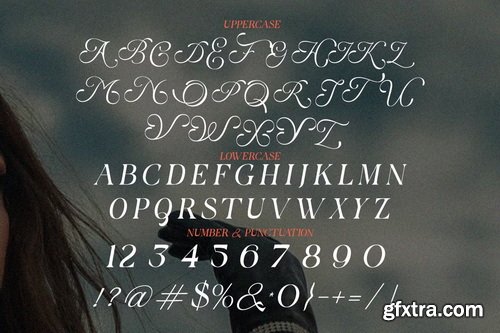 CreativeMarket - Berfal - Elegant Luxury Serif