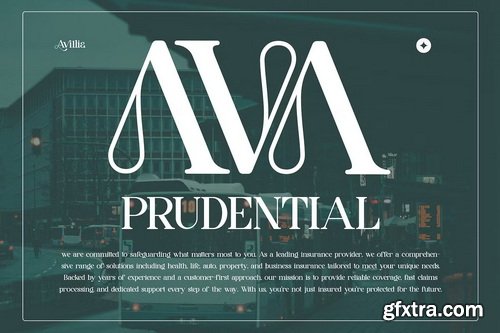 CreativeMarket - Avillia - Elegant Serif Font