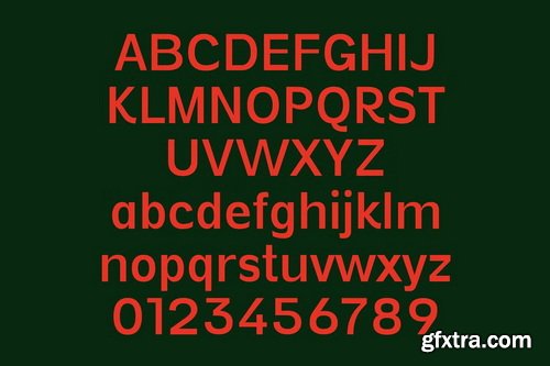 CreativeMarket - Vynce Sans Family