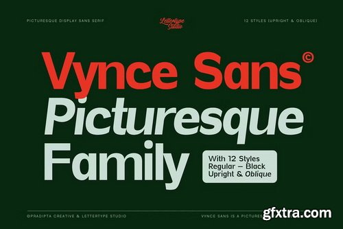 CreativeMarket - Vynce Sans Family