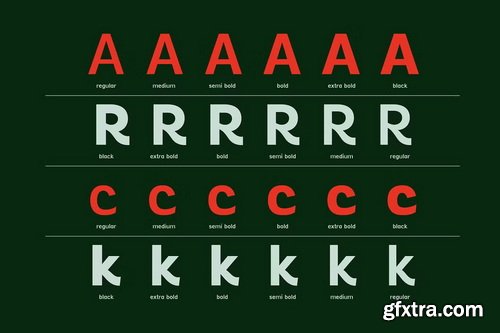 CreativeMarket - Vynce Sans Family