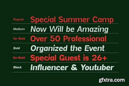 CreativeMarket - Vynce Sans Family