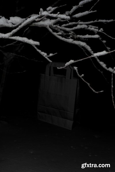 Mockup Maison - Snow Mockup Collection Vol.1