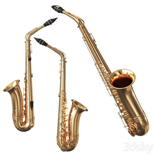 '3dsky Pro - Saxophone'