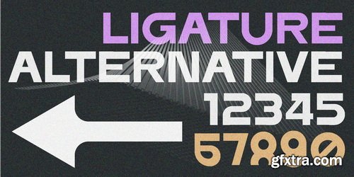 MyFonts - ERF Neot Font Family
