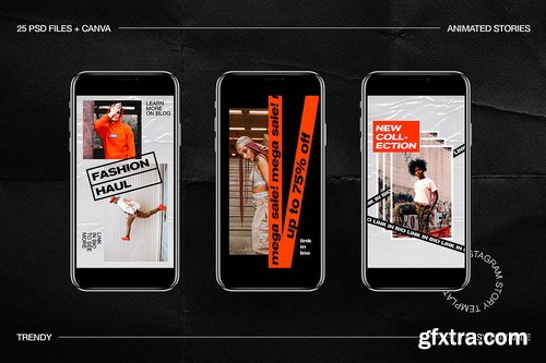 CreativeMarket - Trendy Animated IG Stories Ps, Canva - 3610153