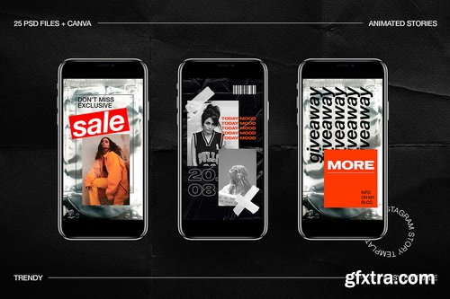CreativeMarket - Trendy Animated IG Stories Ps, Canva - 3610153