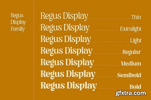 CreativeMarket - Regus Display - 90\'s Serif Family