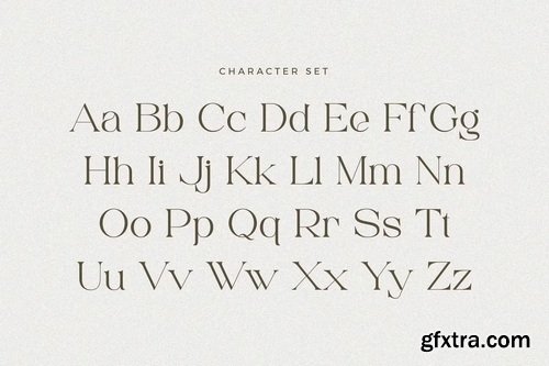 CreativeMarket - Amore - Modern Serif Font