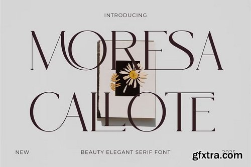 CreativeMarket - Moresa Callote - Beauty Elegant