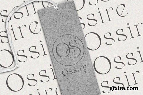 CreativeMarket - Belarose - Modern Elegant Serif