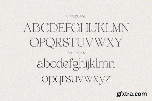 CreativeMarket - Belarose - Modern Elegant Serif