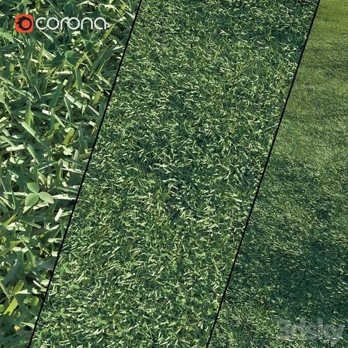 '3dsky Pro - Lawn grass'
