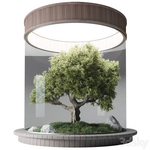 '3dsky Pro - Terrarium №3'