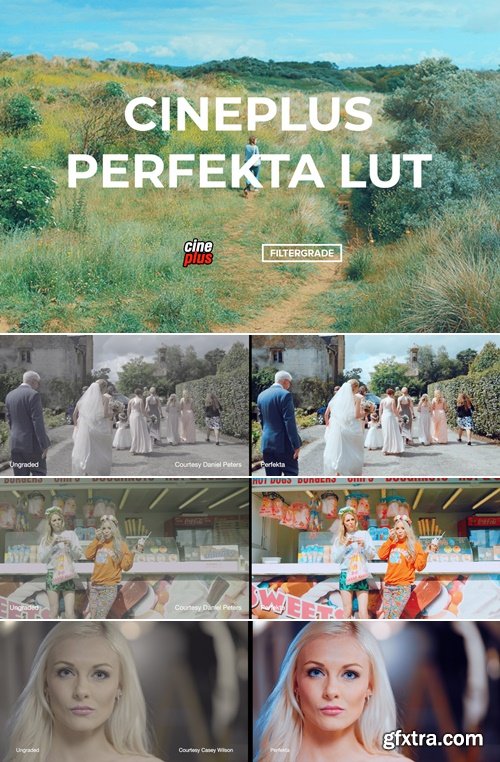 Cineplus - Perfekta LUT Cineplus - Perfekta LUT