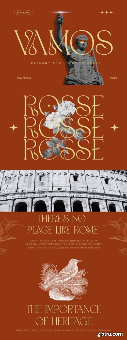 CreativeMarket - Vamos Unique Serif Typeface 291429838