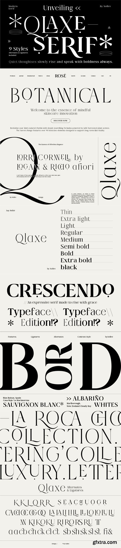 Qlaxe Serif - Modern Classic Serif Font Family