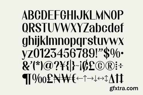 CreativeMarket - Assemble Niche - Duo Font