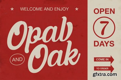 CreativeMarket - Bernfuls Script Font