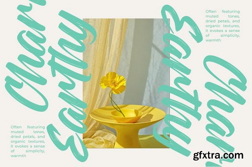 CreativeMarket - Rough Streak Bold Brush Font