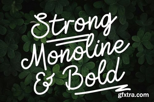 CreativeMarket - Zolfiq Monoline Smooth & Cool Script