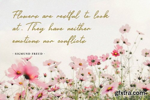 Boulason Rackem Casual Monoline Signature Font