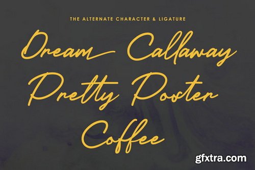 Boulason Rackem Casual Monoline Signature Font