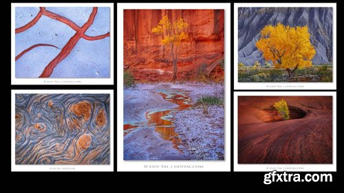 Naturephotographyclasses - Guy Tal - Creativity and Expression in Photography