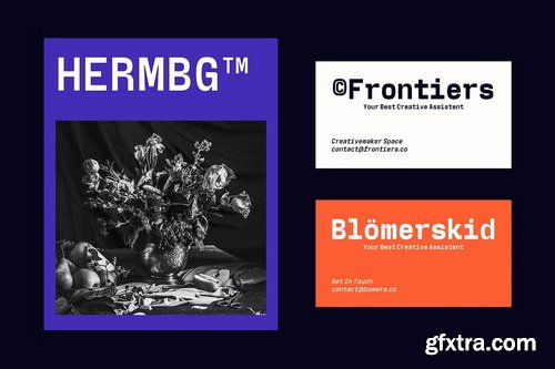 CreativeMarket - Wigola Mono - Monospace Family