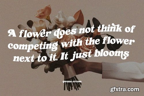 CreativeMarket - SadBoldy - Retro Display Serif