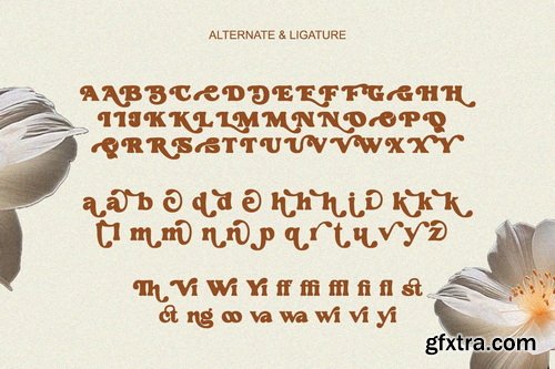 CreativeMarket - SadBoldy - Retro Display Serif