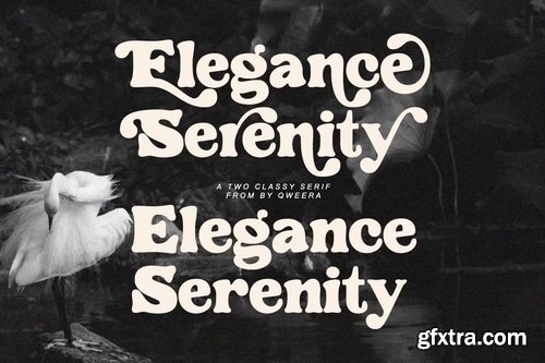 CreativeMarket - SadBoldy - Retro Display Serif