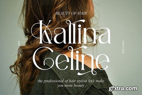 CreativeMarket - Billande Stylish Serif Font