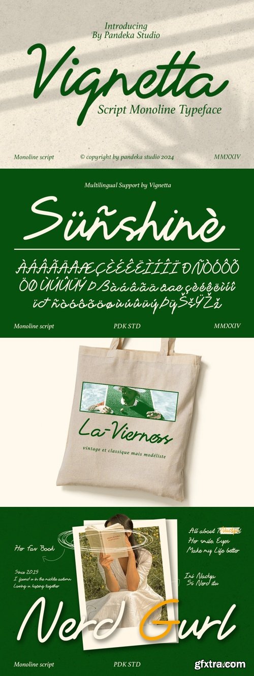 Vignetta - Casual Script Monoline