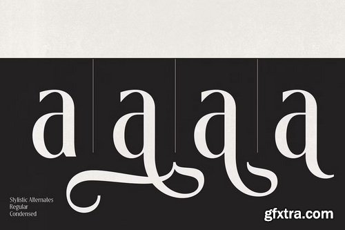 CreativeMarket - Loubrisa - Playful Branding Fonts