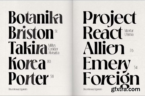 CreativeMarket - Loubrisa - Playful Branding Fonts