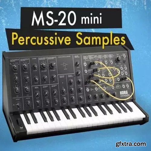 The Sound of Machines MS-20 Mini: Percussive Synth Samples The Sound of Machines MS-20 Mini: Percussive Synth Samples