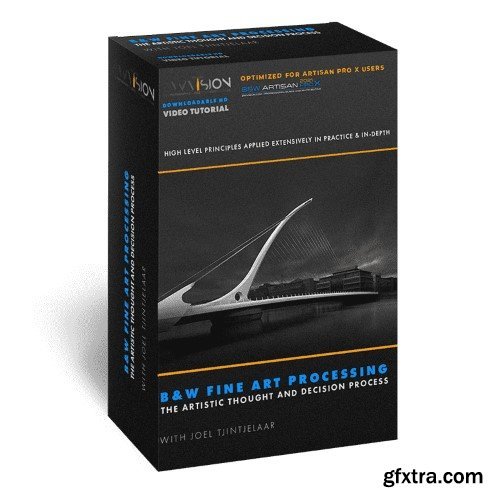 BWVISION - Joel Tjintjelaar - B&W Fine Art Processing: The Artistic Thought and Decision Process