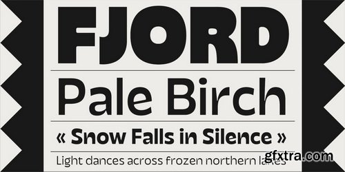 CreativeMarket - Facers Font Family