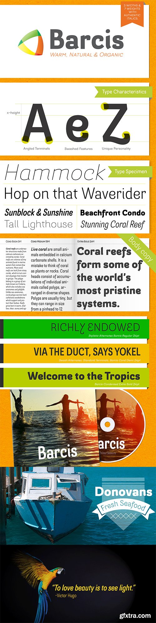 Barcis Font Family 48xOTF