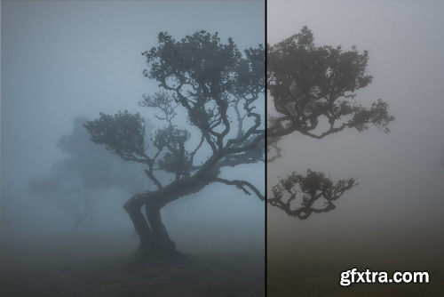 Aripixels Photography Presets VOL 1