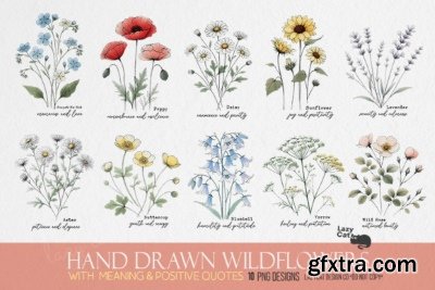 Lazy Cat's 25 Seasonal Celebration Bundles