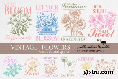 Lazy Cat's 25 Seasonal Celebration Bundles