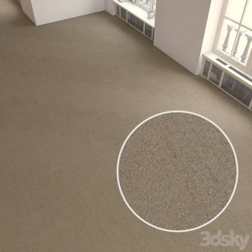 '3dsky Pro - Carpet covering 196'