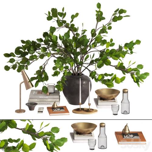 '3dsky Pro - Branches bouquet decorative set'